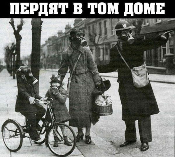 ПЕРПЯГ В ТПИ дПМЕ