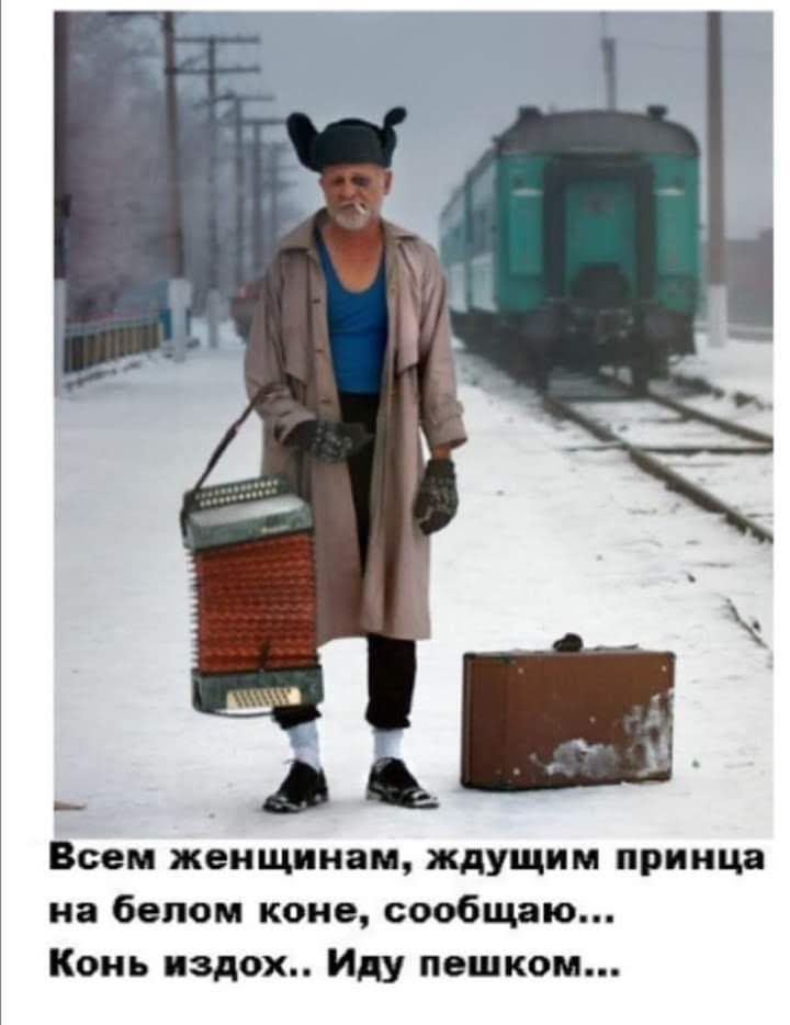 _ Всем женщинам ждущим принца на белом коне сообщаю Конь издох Иду пешком