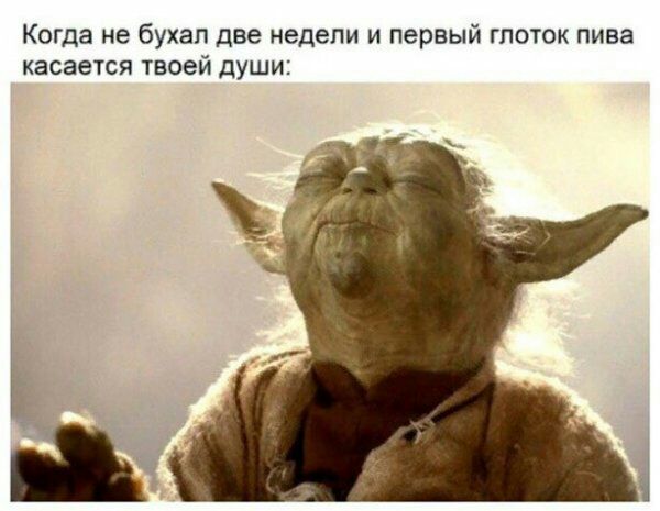 Когда не бухал две недели и первый глоток пива касается ТБОЕЙ ДУШИ