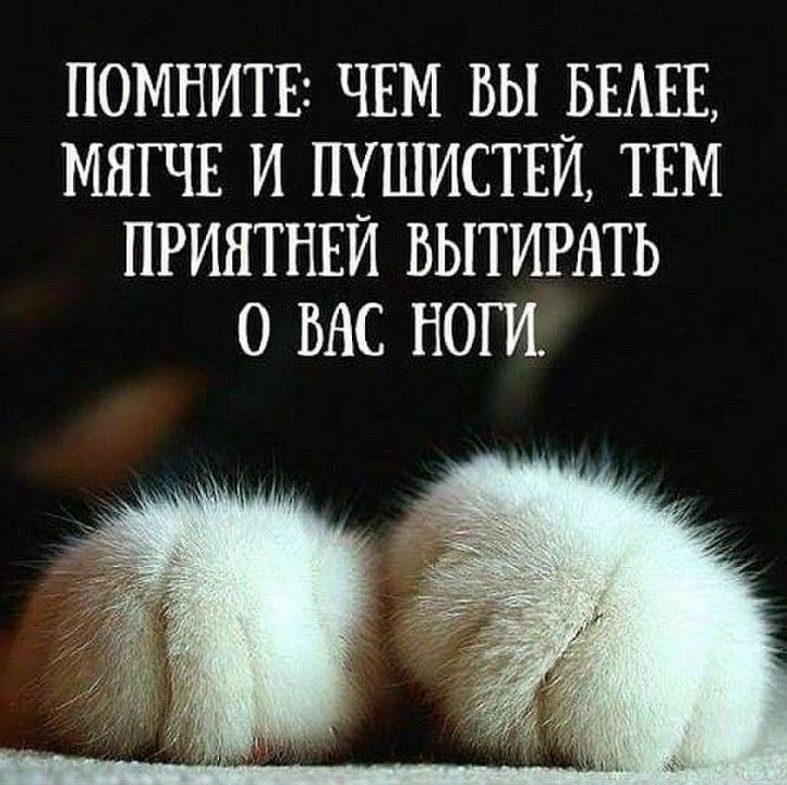 ПОМНИТЕ ЧЕМ БЫ БЕАЕЕ МНГЧЕ И ПУШИСТЕЙ ТЕМ ПРИНТНЕЙ БЫТИРАТЬ 0 ВАС НОГИ