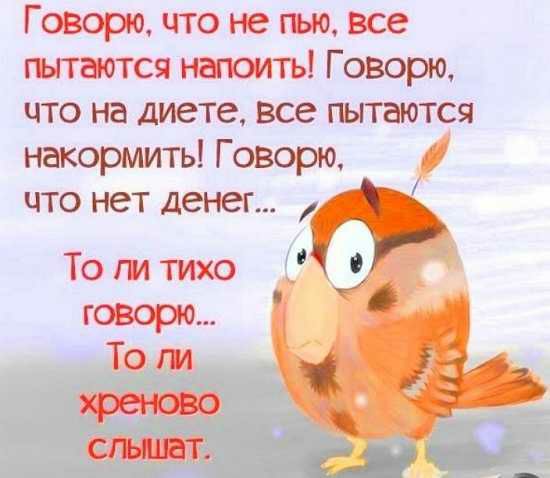 Говорю чтоне гью все пытаются напоить Говорю что на диете все пытаются Накормить Говорю ЧТО НЭТ денег