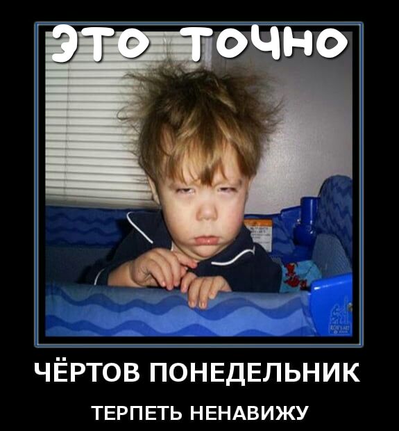 ЧЁРТОВ ПОНЕДЕЛЬНИК ТЕРПЕТЬ НЕНАВИЖУ