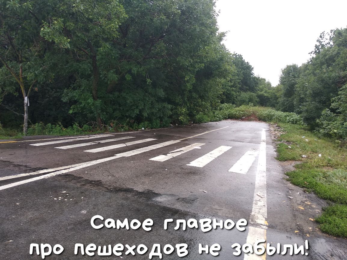 Счмое гля Про пешеходов