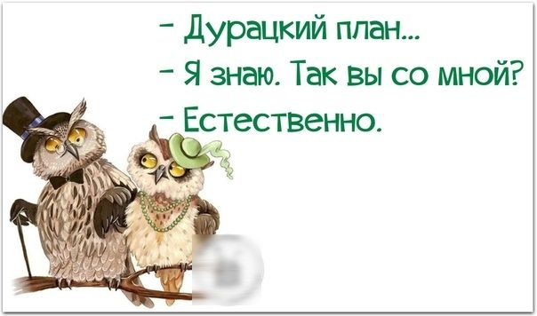 Дурацкий план Я знаю Так вы со мной