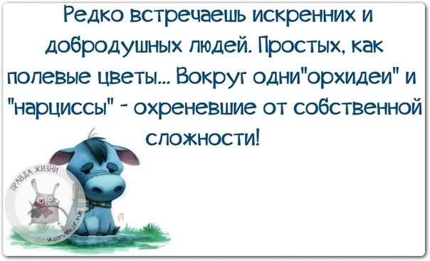 Редко встречаешь искренних и добродушных людей Простых как полевые цввты Вокруг одниорхидеи и нарциссы охреневшие от собственной сложности
