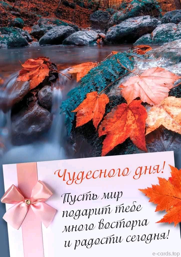 дата мир подарит іГюае типа 60 старше рощи юіГш сеищня