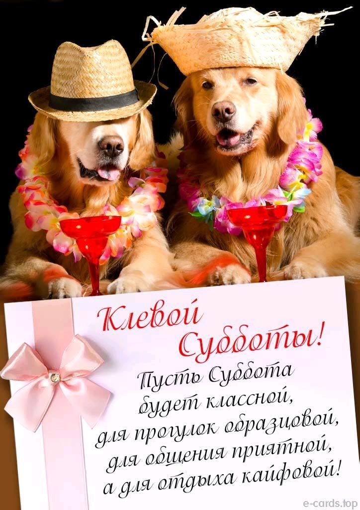 і ьшто Сдабапш факт к шина для прима фра ебет МЯПТНШ с ш отцами п ка ыфшіоди а сия шГщюша