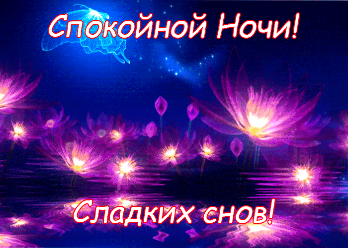 пкойНой Ночи ЁЁ ладкиж енові