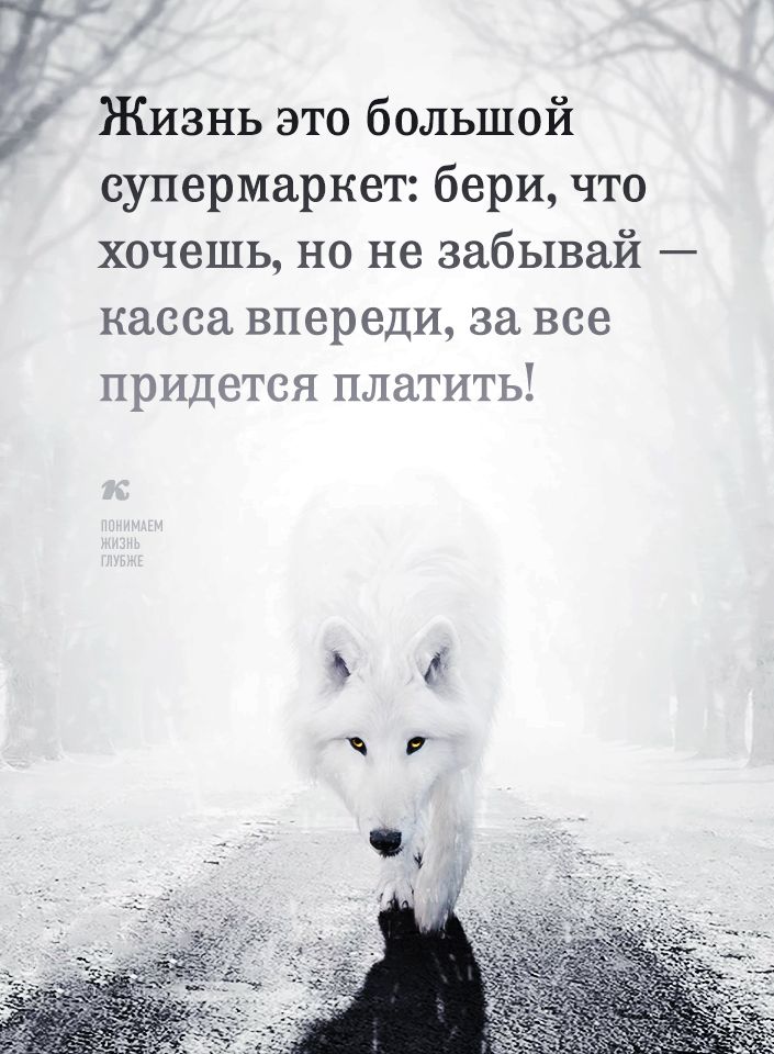 ь Жизнь это большой супермаркет бери что хочешь но не забывай касса впереди за все придется платить