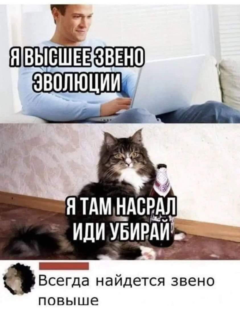 ЗАТАМ НАСРАЛ ИДИ УБИРАИ ь _9 6 Всегда найдется звено повыше