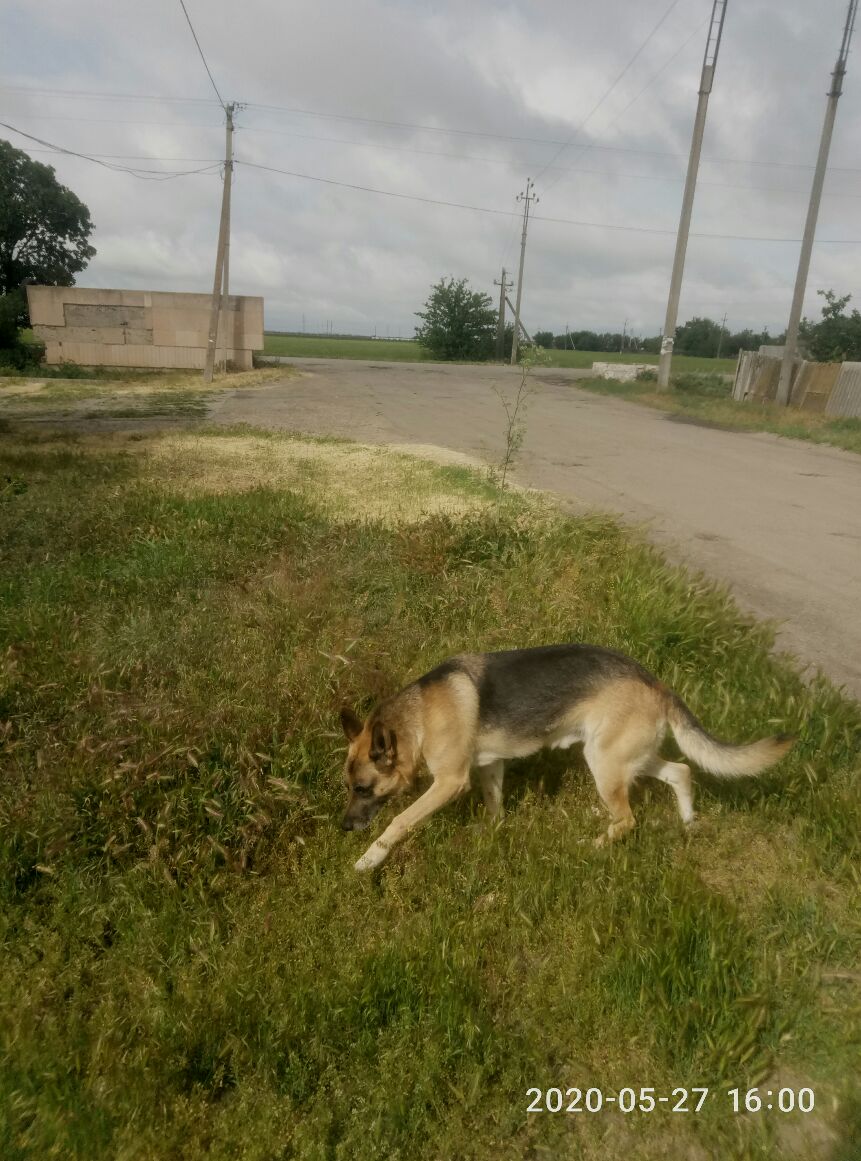 2020 05 27 1620Ч