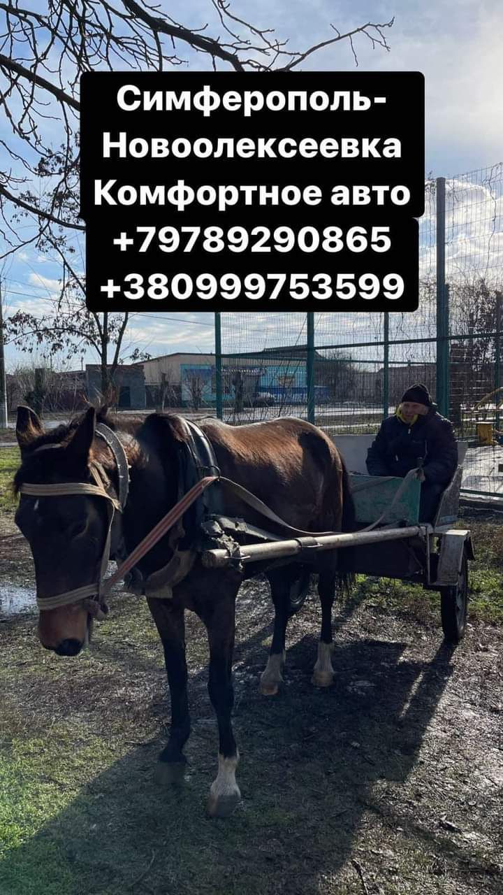 К _ йде г Симферополь Новоалексеевка