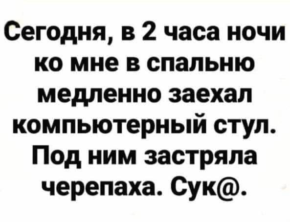 Сегодня в 2 часа ночи ко мне в спальню медленно заехал компьютерный стул Под ним застряла черепаха Сук