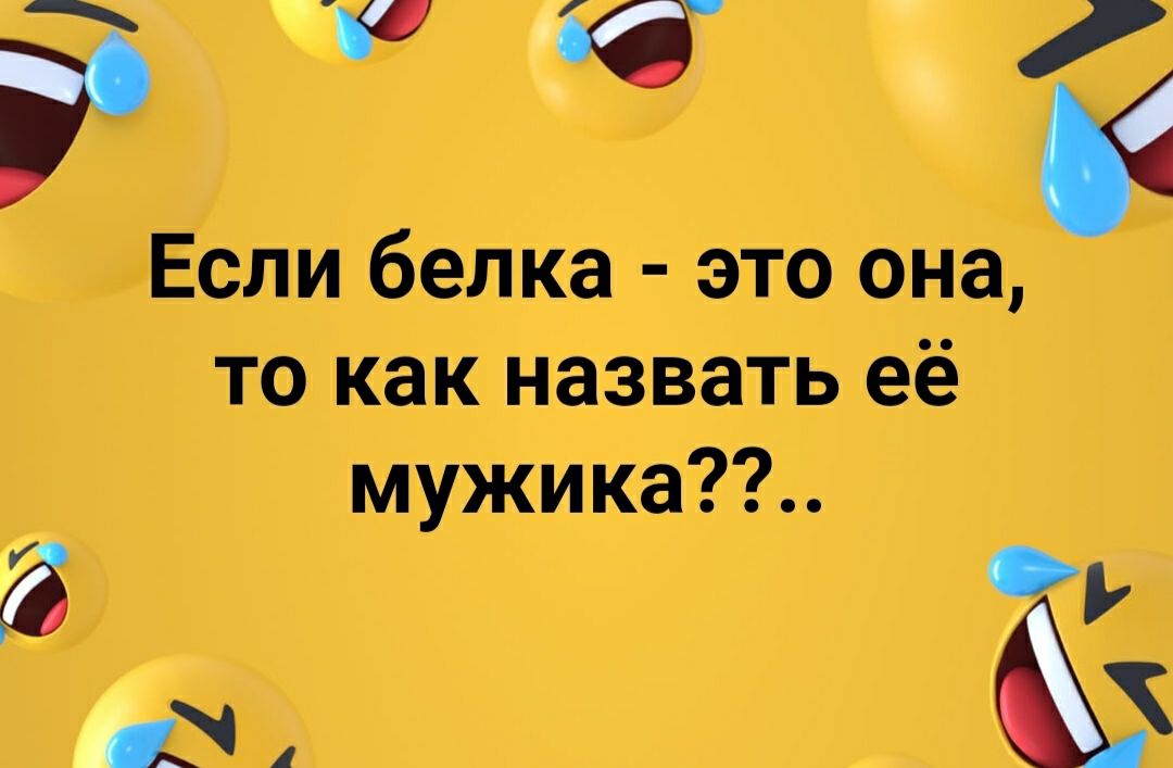 Р Если белка это она то как назвать её мужика 134 Ь