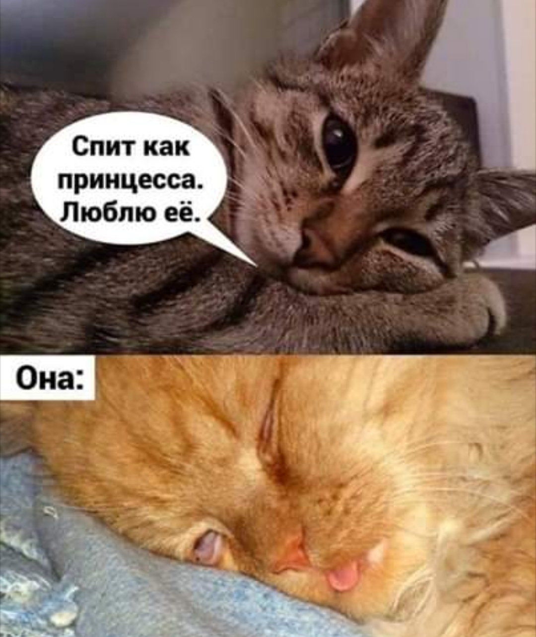 Спит как принцесса