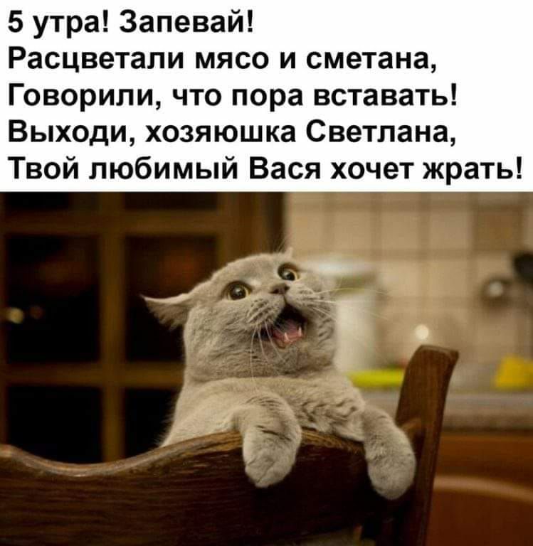 5 утра Запевай Расцветали мясо и сметана Говорили что пора вставать Выходи хозяюшка Светлана Твой любимый Вася хочет жрать ч _ и 235 _ 73