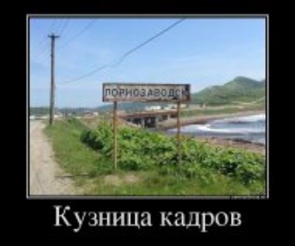 Ку тица кадров