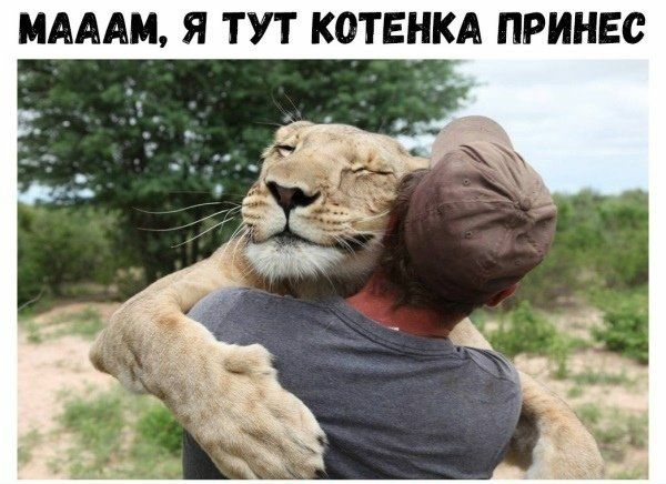 МАААЦ Я ТУТ КОТЕНКА ПРИНЕС