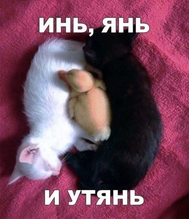 и9утянь