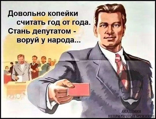 довольно копейки считать год от года Стань депутатом воруй у народа