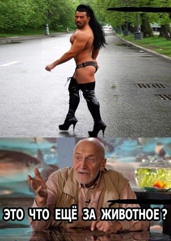кс этрдчто ЕЩЁ 3А живбтноЁ а