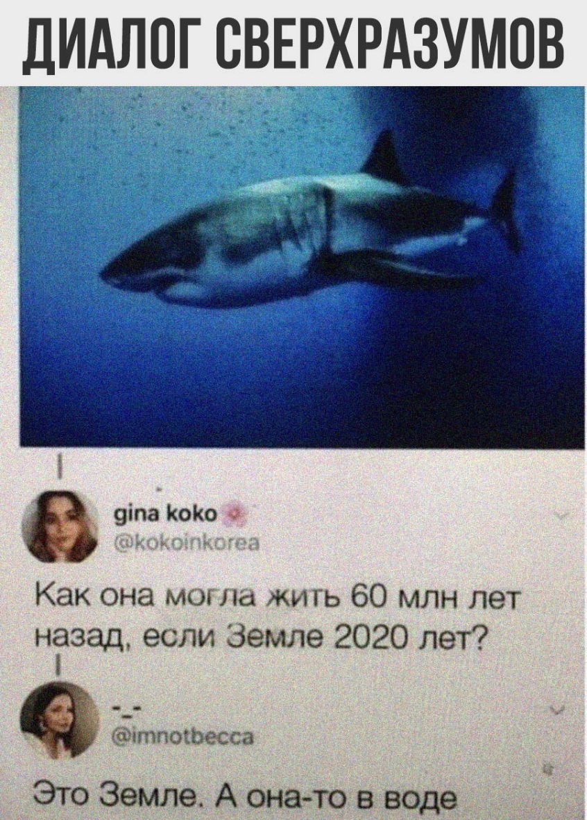 ДИАЛОГ СВЕРХРАЗУМПВ 1 9іпа КоКо в Как она могла жи гь 60 млн лет нгзад если Земле 2020 лет ітпосжса Это Земле А онато в веде