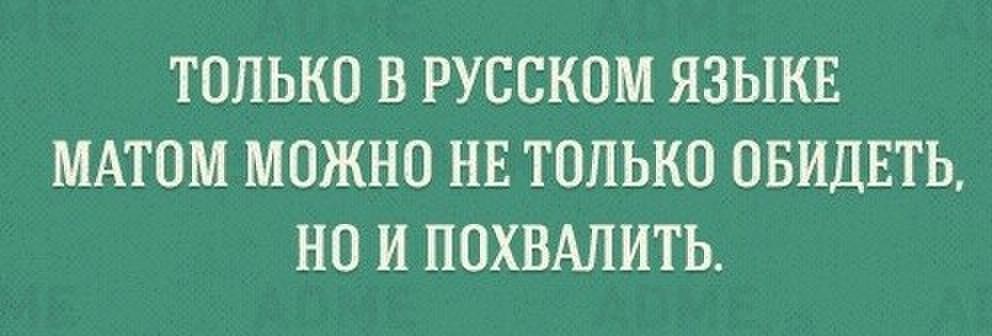 ТОЛЬКО В РУССКОМ ЯЗЫКЕ МАТОМ МОЖНО НЕ ТОЛЬКО ОБИДЕТЬ НО И ПОХВАЛИТЬ