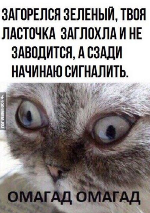 ЗАГПРЕЛВЯ ЗЕЛЕНЫЙ ТВОЯ ЛАСТПЧКА ЗАГЛПХЛА И НЕ ЗАВПЛИТБН А СЗАДИ НАЧИНАЮ ВИГНАЛИТЬ ть