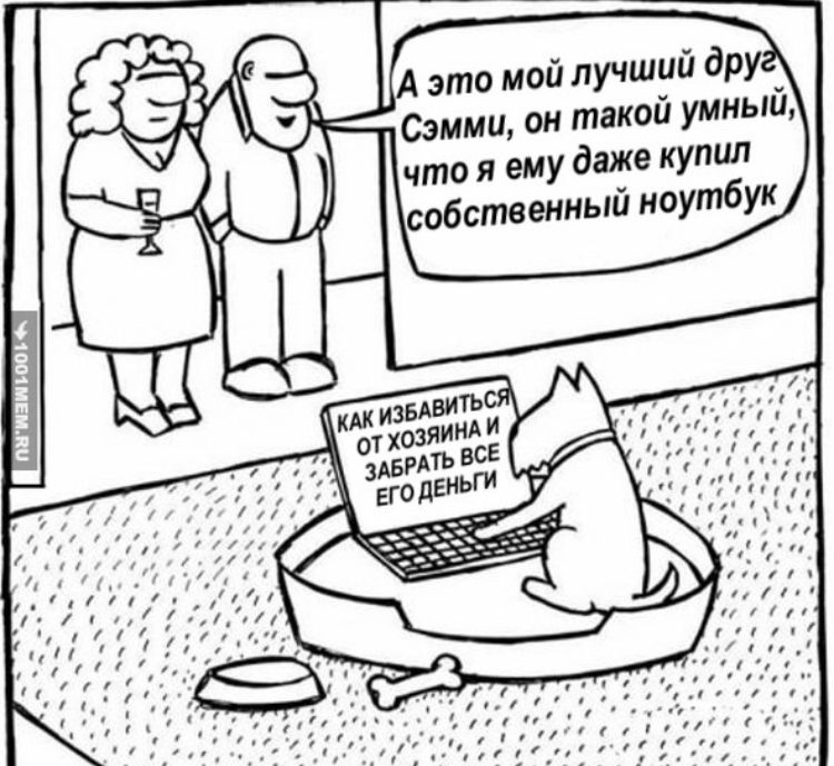 это мой лучший дру Сэмми он такой умный что я ему даже купил собственный ноутбук