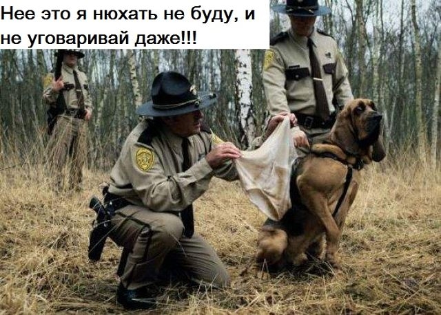 Нее это я нюхать не буду и аже