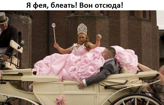 Я фея блеать Вон отсюда