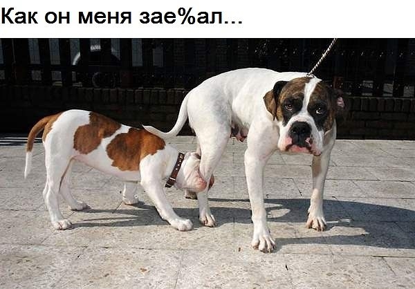 Как он меня заеап