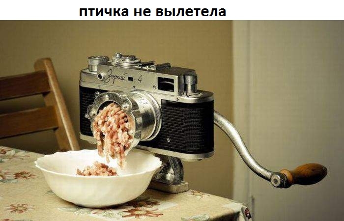 ПТИЧКЗ не вылетела
