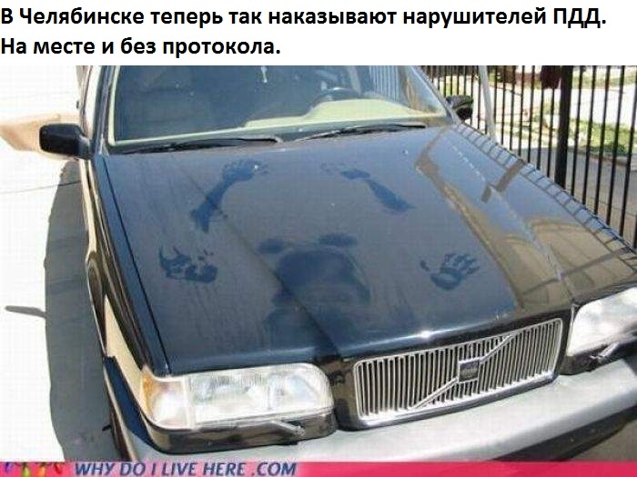 В Челябинске теперь так наказывают нарушителей Пдд На месте и без протокола