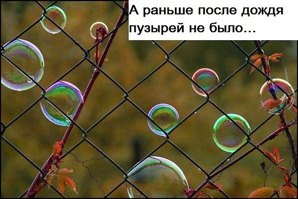 3 раньше после дождя 0 пузырей не было д к Я Ё А