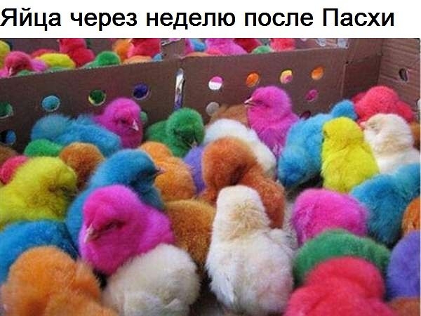 йца через неделю после Пасхи