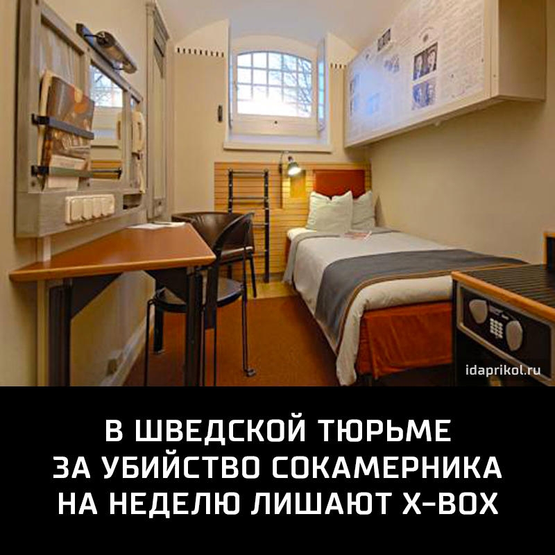 в шрЕдской ТЮРЬМЕ ЗА увииствп спкдмыэникд НА НЕДЕЛЮ лишдют хвпх