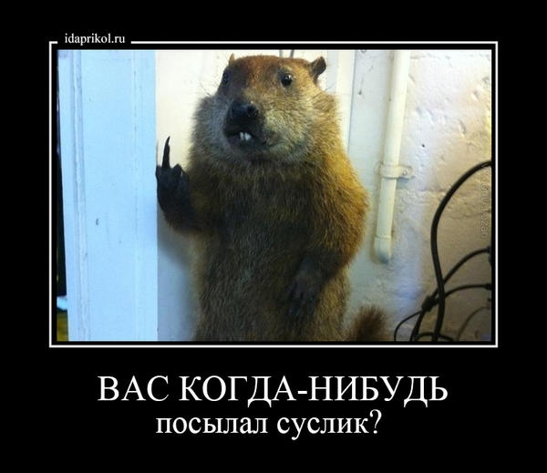 ВАС КОГДА НИБУДЬ посылал суслик