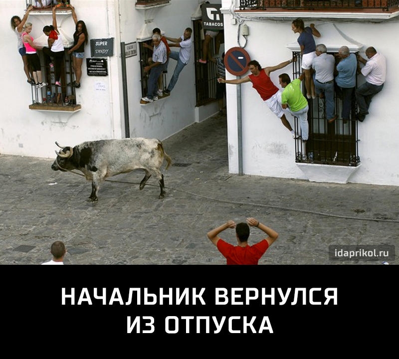 _ _ іыаЬгшпіш _ НАЧАЛЬНИК ВЕРНУЛСЯ ИЗ ОТПУСКА
