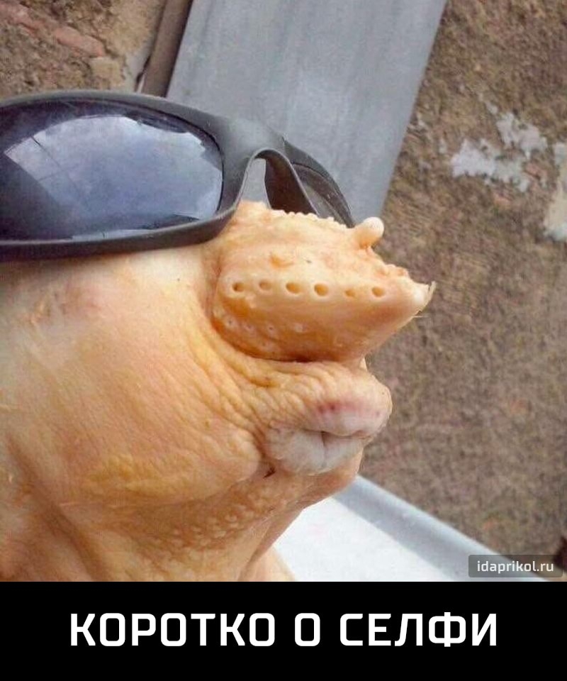 КОРОТКО О СЕЛФИ
