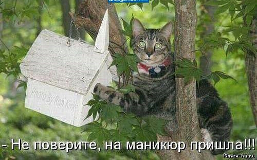 НВЙЩВЁРёГЕ на маникюрдрЪшпа