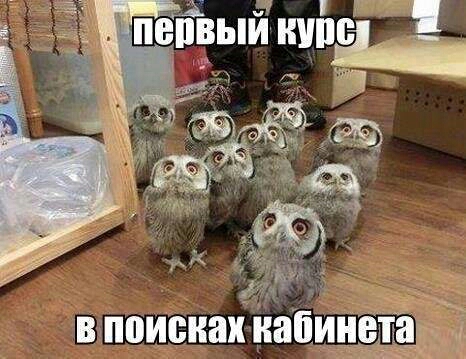 ПВПВЫИ