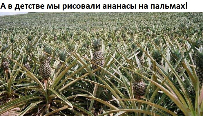 х 3 м ь л 3 П 3 н ы с а н а н 3 И л а в О с И р ы м е в Т с Т е д в А