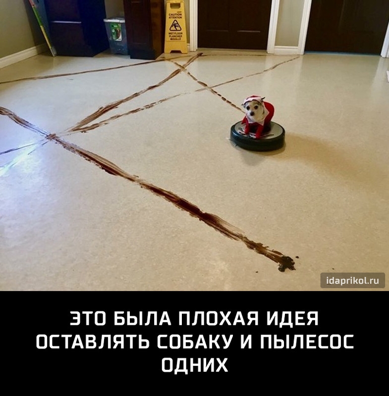 ЭТО БЫЛА ПЛОХАЯ ИДЕЯ ОСТАВЛЯТЬ СОБАКУ И ПЫЛЕСПС ОДНИХ