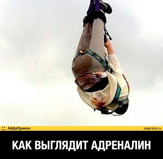 Айдзприиол ххххххххх КАК ВЫГЛЯДИТ АДРЕНАЛИН
