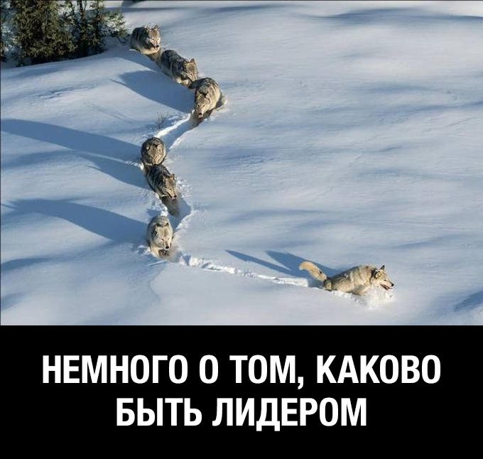 НЕМНОГО О ТОМ КАКОВО БЫТЬ ЛИДЕРОМ