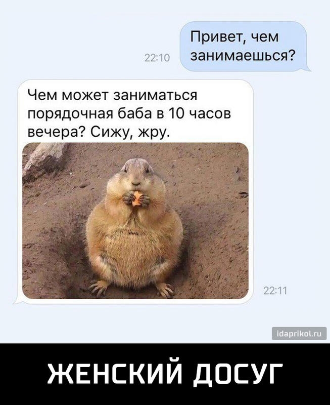 Привет чем занимаешься Чем может заниматься порядочная баба в 10 часов вечера Сижу жру ЖЕНСКИЙ досуг