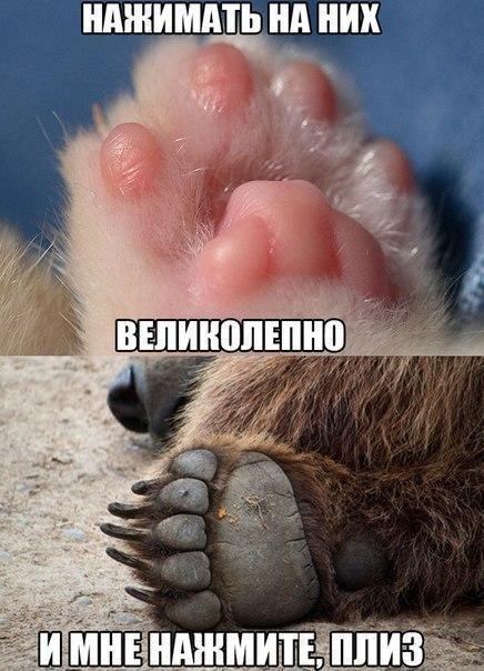 ШШШММЬ нд НИХ нджмЩШй
