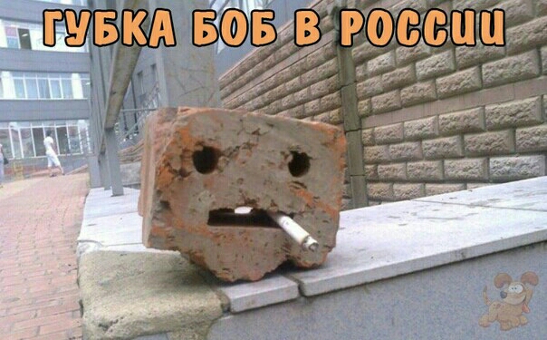 Щвкд 576 367659