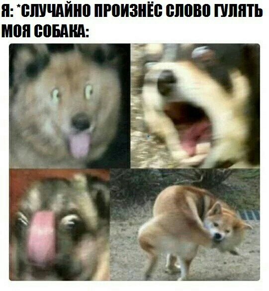 БШЧПЙЮ ПРВИЗНЁЁ ШШШ ПШПТЬ МШ новим